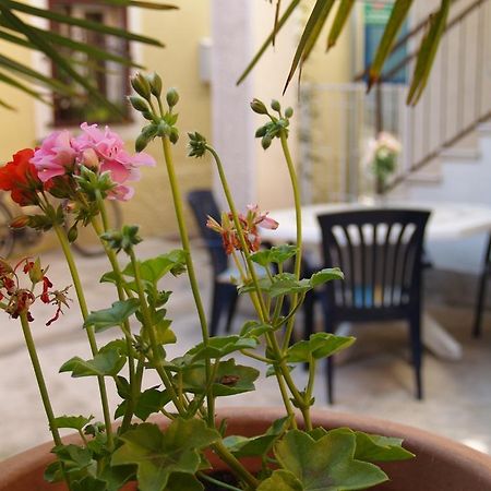 Apartment Nana 1 Sibenik Ngoại thất bức ảnh