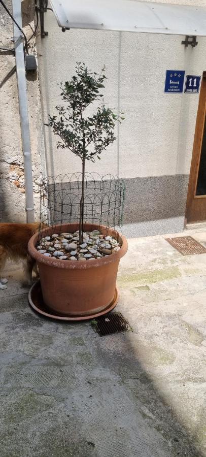 Apartment Nana 1 Sibenik Ngoại thất bức ảnh