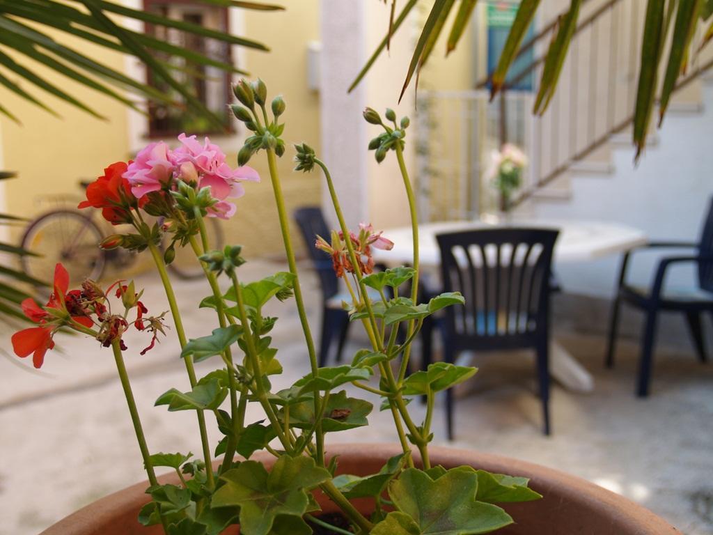 Apartment Nana 1 Sibenik Ngoại thất bức ảnh